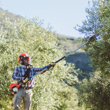 Pole Pruner