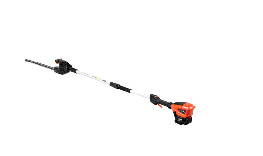 DHCA-310